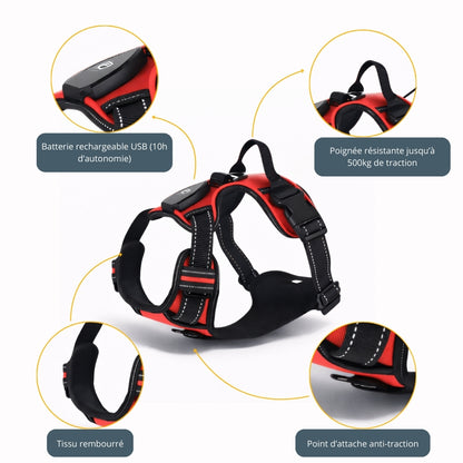 Harnais lumineux LED - Sécurité Nocturne