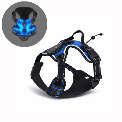 Harnais lumineux LED - Sécurité Nocturne