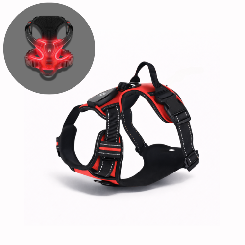 Harnais lumineux LED - Sécurité Nocturne