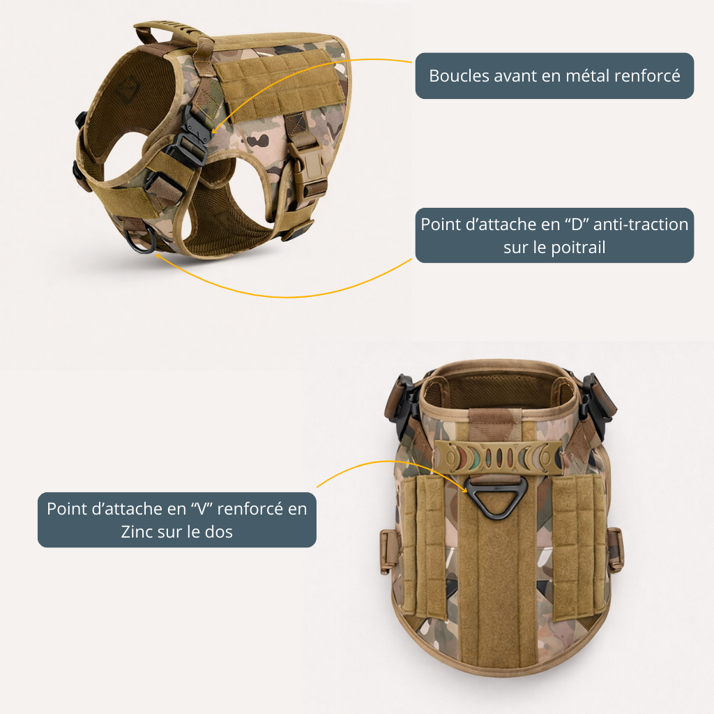 Harnais tactique chien - AC Pro