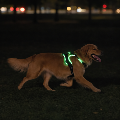 Harnais lumineux LED - Sécurité Nocturne
