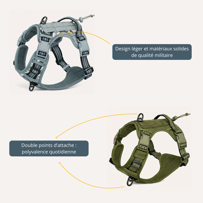 Harnais tactique chien - AC Compact