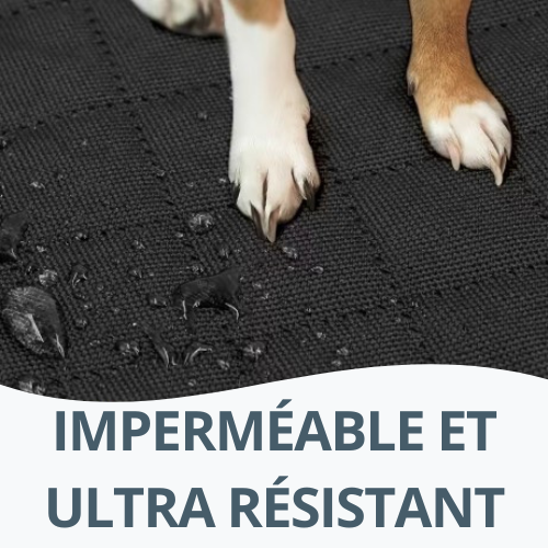 Housse de voiture pour chien - AC Extender