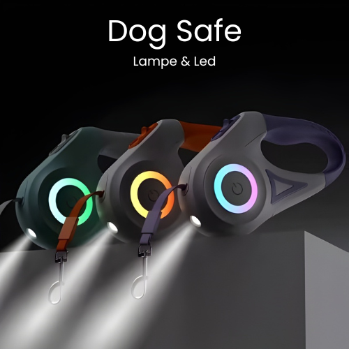 Laisse Enrouleur 5M Lampe LED - Dog Safe