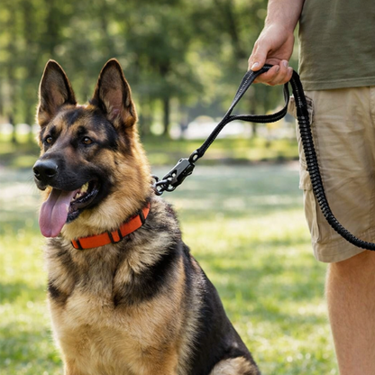 Laisse amortisseur pour chien - Zero Choc