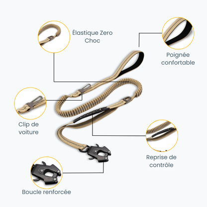 Laisse amortisseur pour chien - Zero Choc