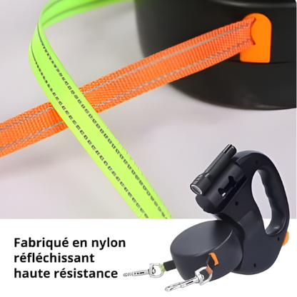 Laisse double anti-nœud - Duo Flex : Balade Fluide