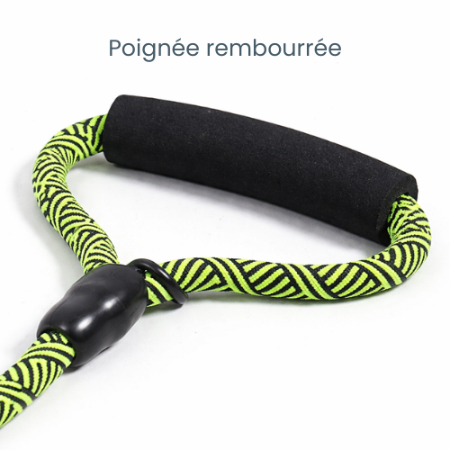 Laisse double pour chien nylon résistant - Double Dog