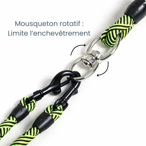Laisse double pour chien nylon résistant - Double Dog
