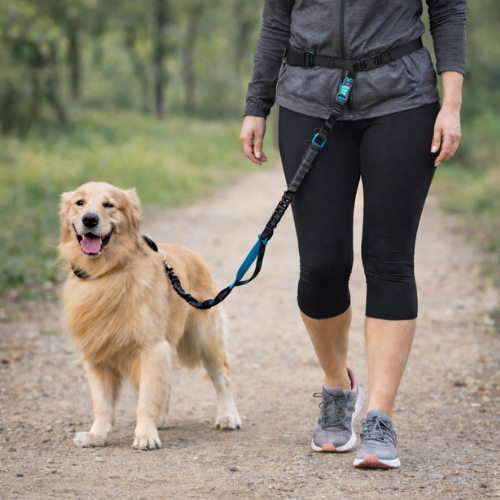 Laisse main libre pour chien - Free Walk