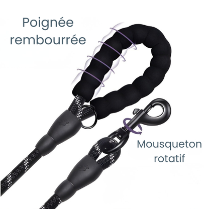 Laisse pour petit chien - Corde tressée