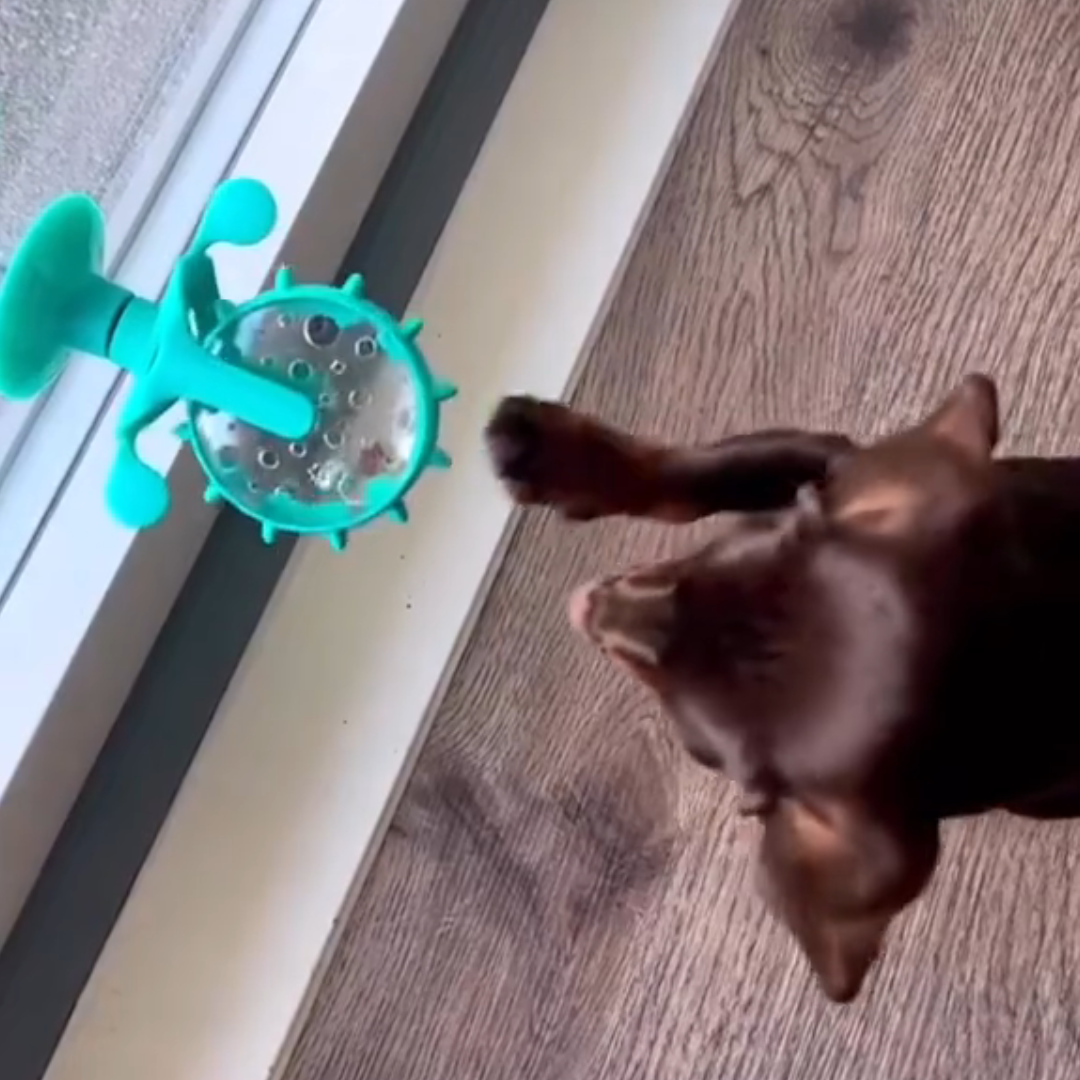 Distributeur de friandise - Le moulin