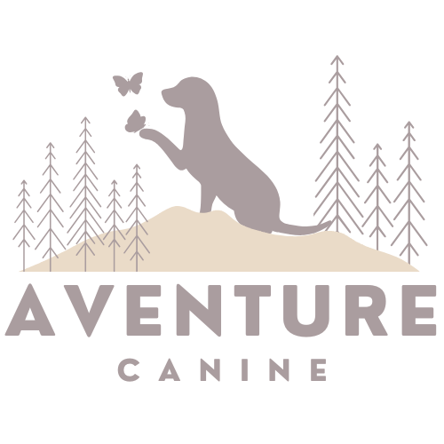 AventureCanine