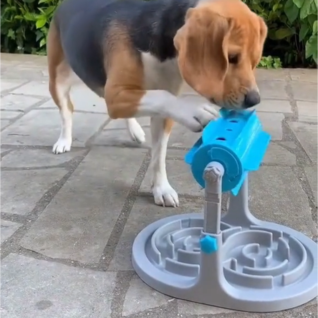 Distributeur anti-glouton - Mangeoire interactif