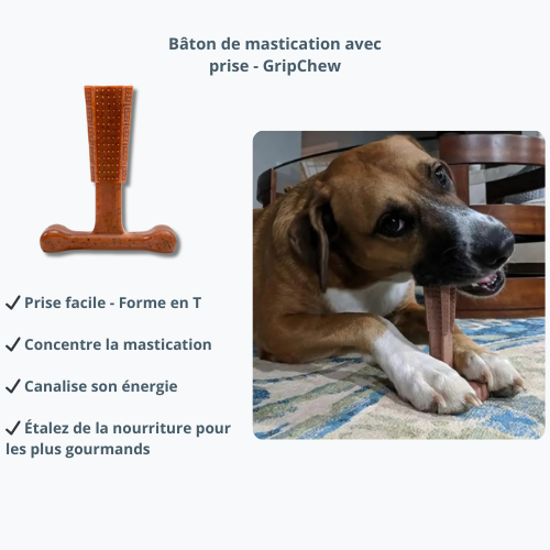 Pack dépense mental