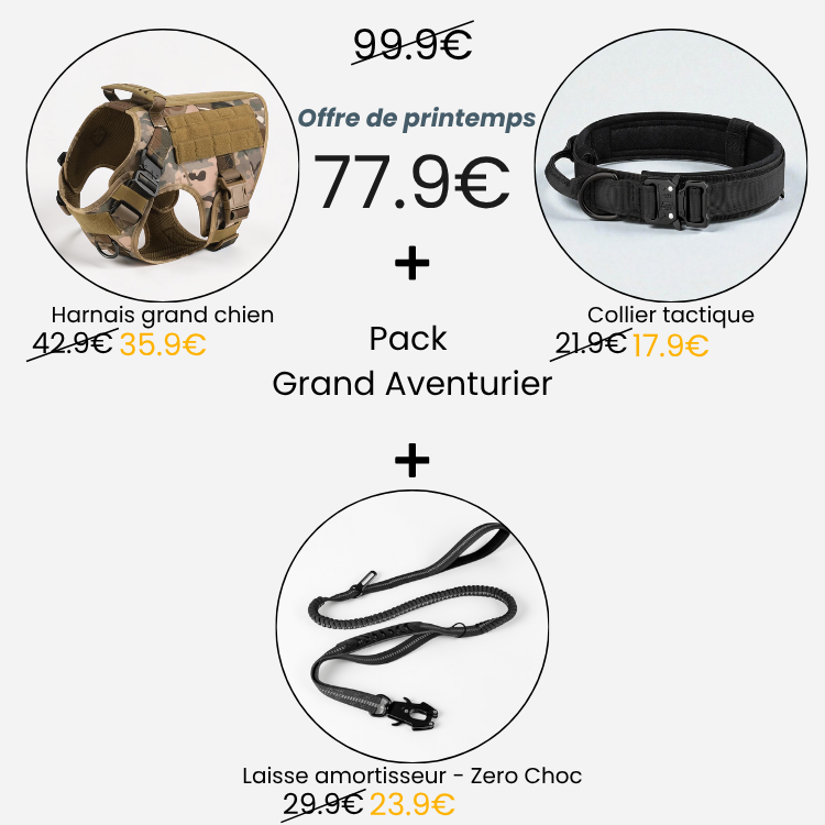 Pack - Grand Aventurier