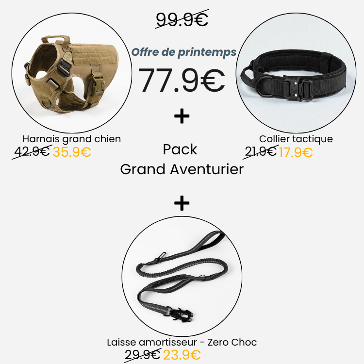 Pack - Grand Aventurier