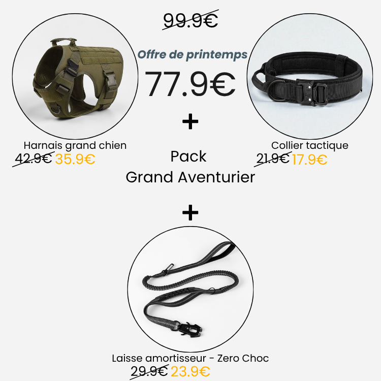 Pack - Grand Aventurier