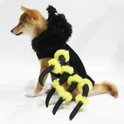 Déguisement pour chien | Araignée