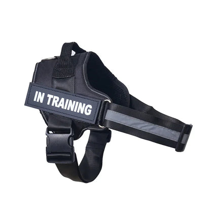 Harnais personnalisable pour chien - Aventure Canine™