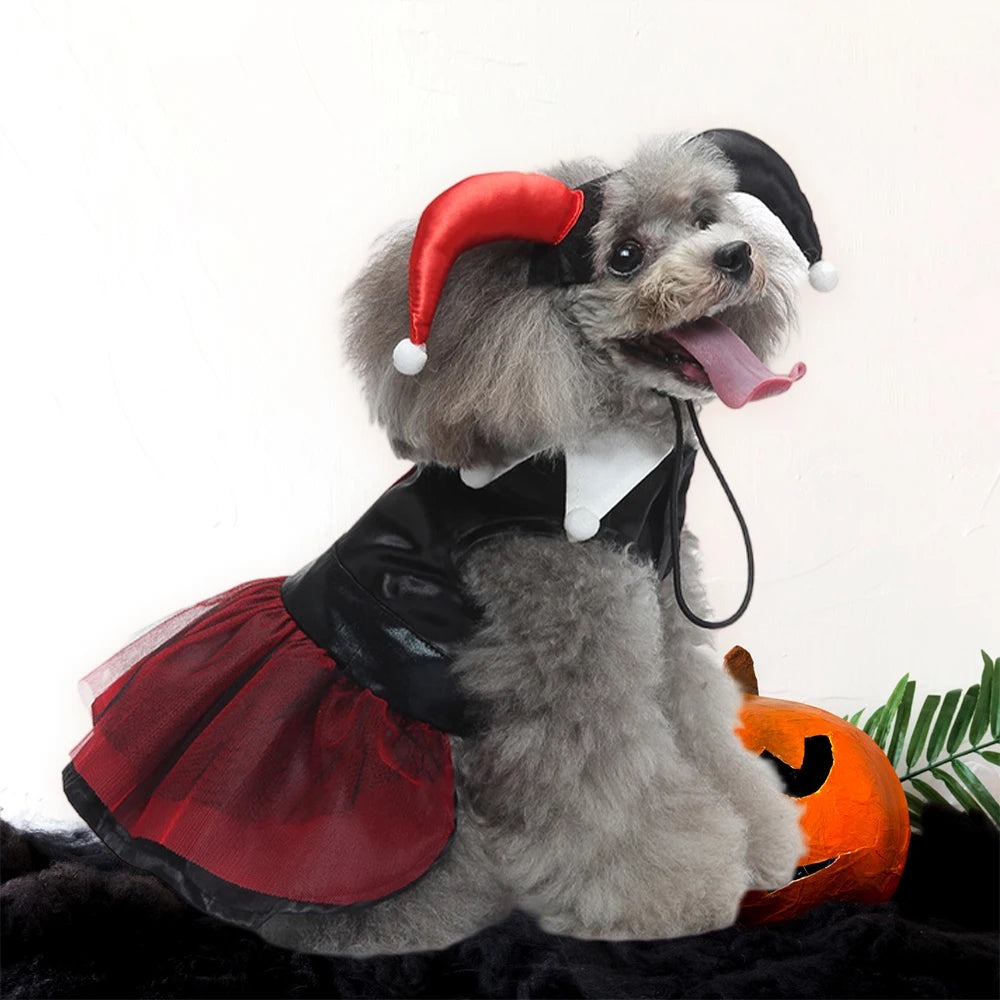 Déguisement pour chien | Sorcier