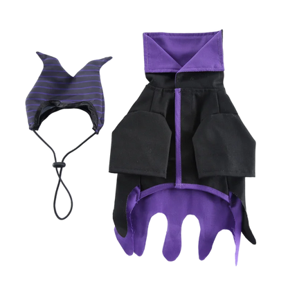 Déguisement pour chien | Sorcier