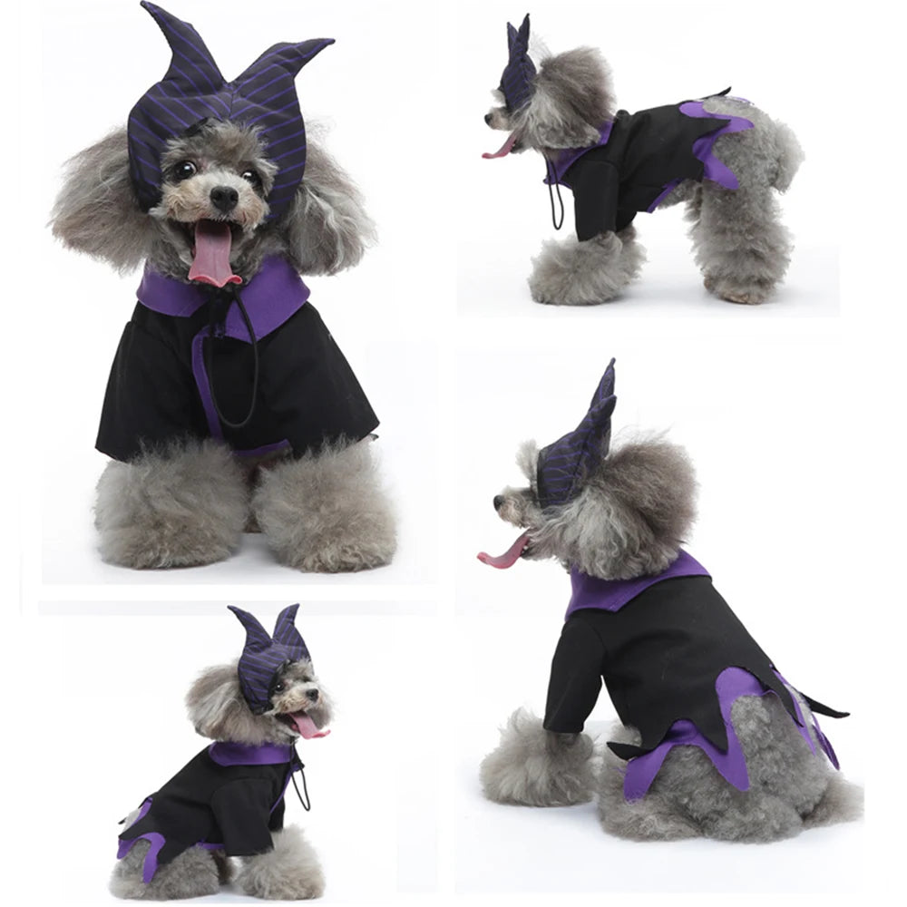 Déguisement pour chien | Sorcier