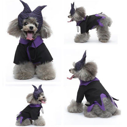 Déguisement pour chien | Sorcier