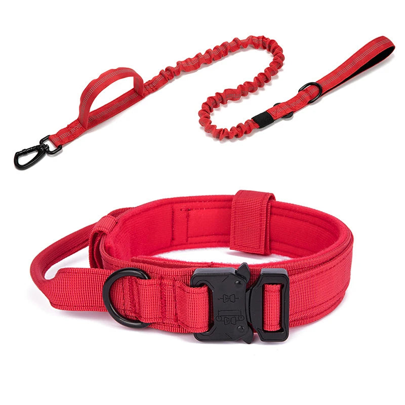 Kit collier + laisse élastique - Aventure Canine™