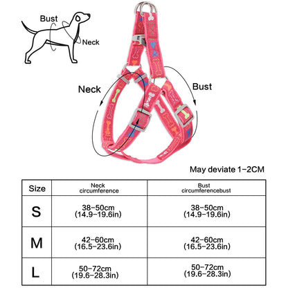 Harnais en Y Coloré – Aventure Canine™