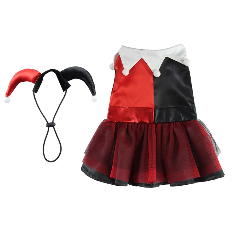 Déguisement pour chien | Sorcier