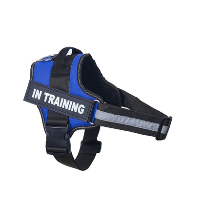 Harnais personnalisable pour chien - Aventure Canine™