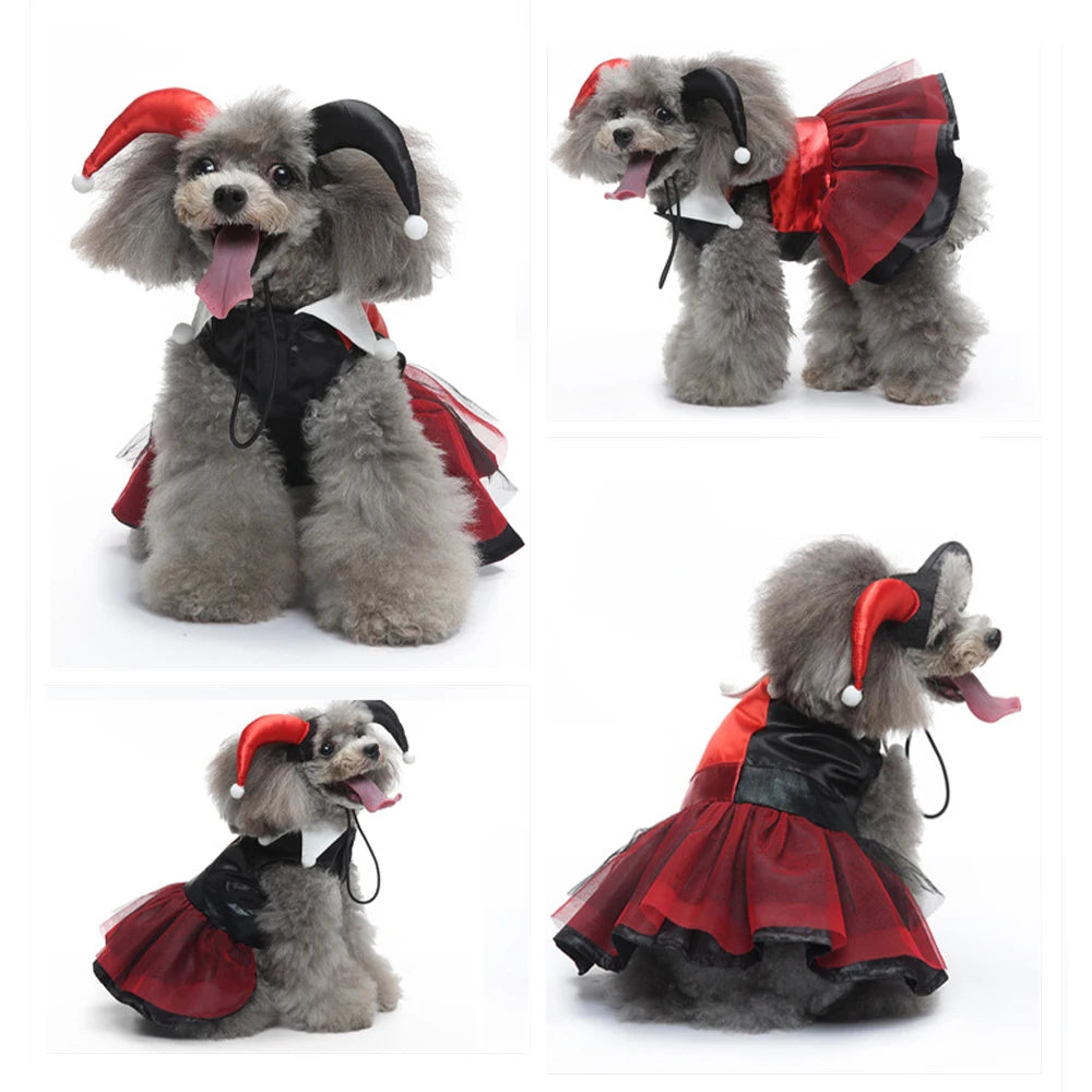 Déguisement pour chien | Sorcier