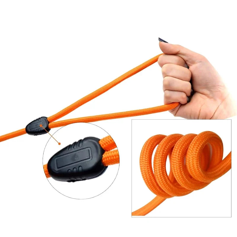 Longes pour Chien en Nylon - Aventure Canine™