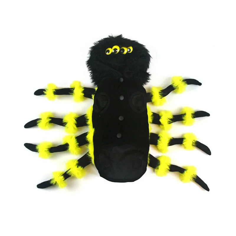 Déguisement pour chien | Araignée