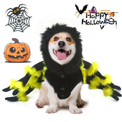 Déguisement pour chien | Araignée