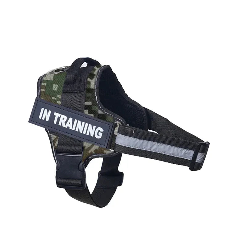 Harnais personnalisable pour chien - Aventure Canine™