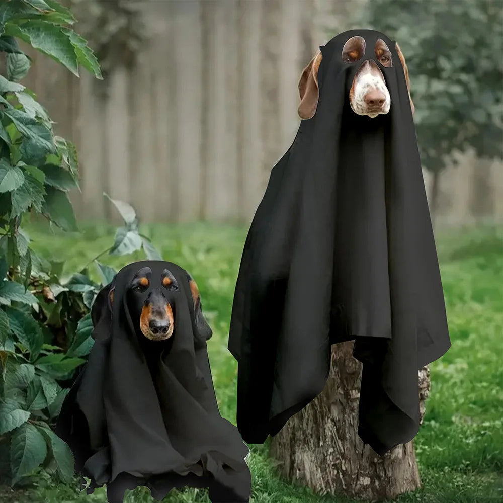 Déguisement pour chien | Fantôme