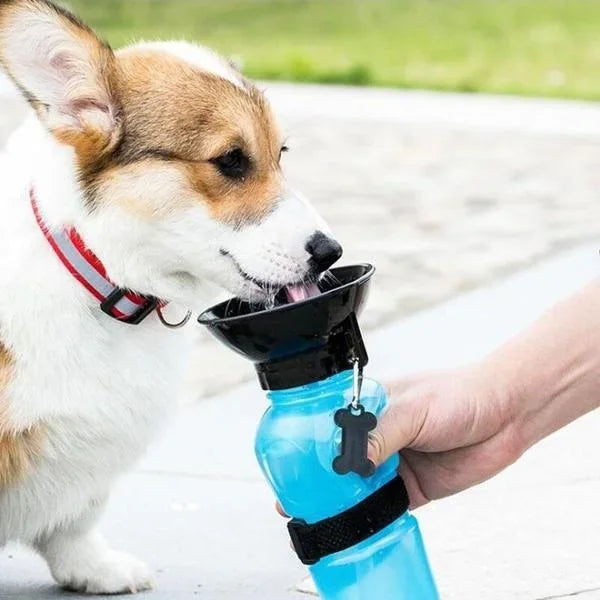 Gourde Portable 500 ml pour Chien - Aventure Canine™