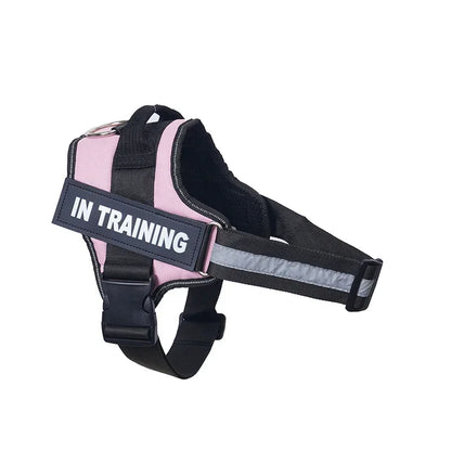 Harnais personnalisable pour chien - Aventure Canine™