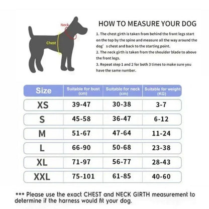 Harnais personnalisable pour chien - Aventure Canine™