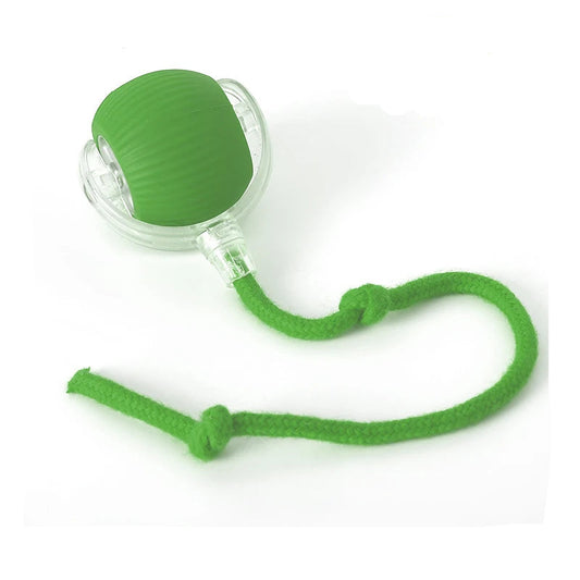 Balle interactive Chien - Vert