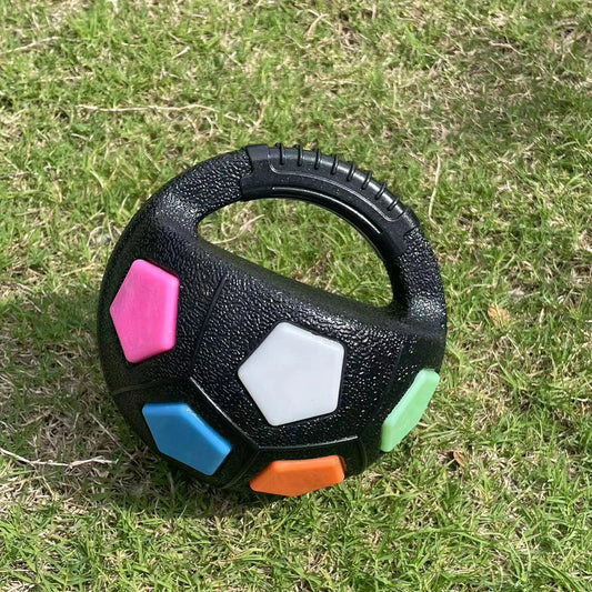 Ballon pour chien avec poignée - Noir
