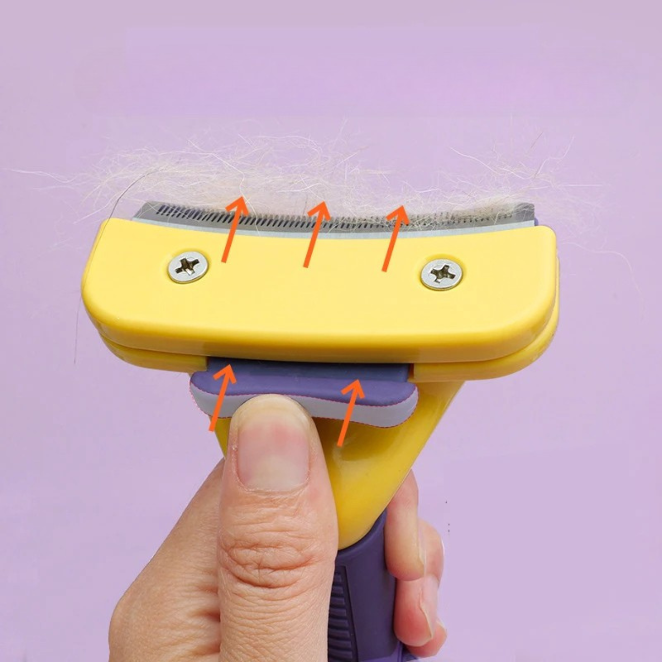 Brosse anti tique pour Chien - clips