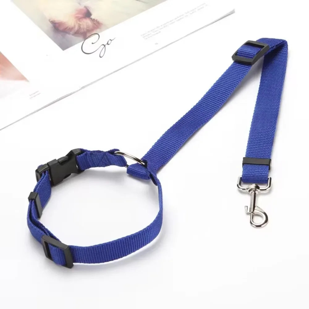 Ceinture de sécurité pour chien fixation appuie-tête - Bleu