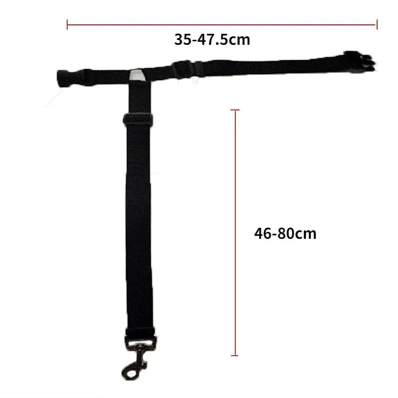 Ceinture de sécurité pour chien fixation appuie-tête - Dimensions