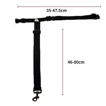 Ceinture de sécurité pour chien fixation appuie-tête - Dimensions