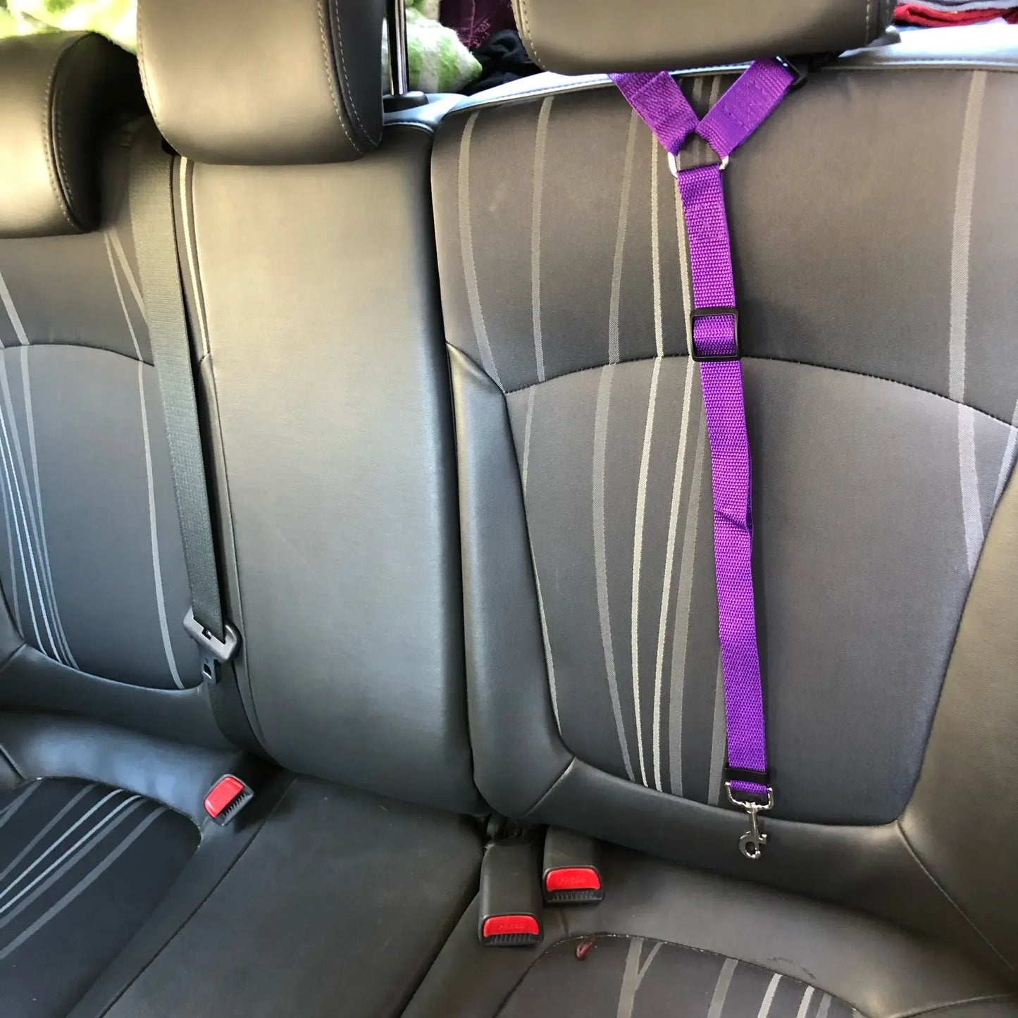 Ceinture de sécurité pour chien fixation appuie-tête - Photo