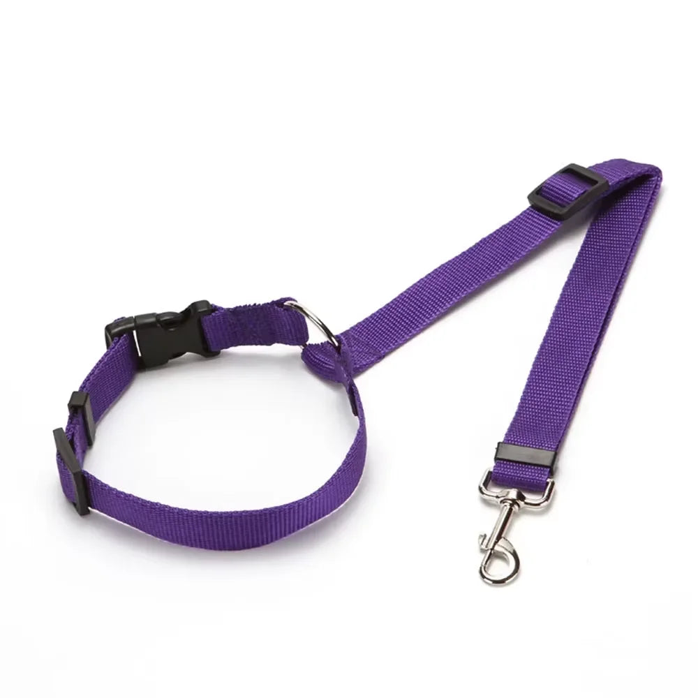 Ceinture de sécurité pour chien fixation appuie-tête - Violet