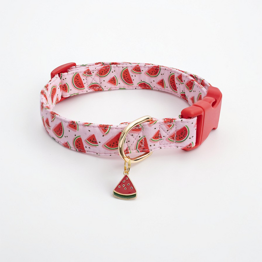 Collier fantaisie pour Chien - Dog Fruit